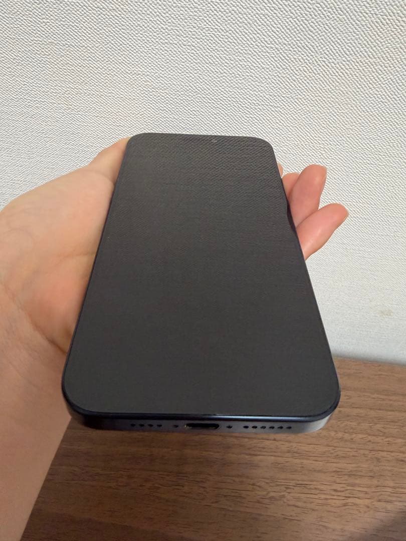 iPhone15 pro max 海外版　付属品あり　256GB