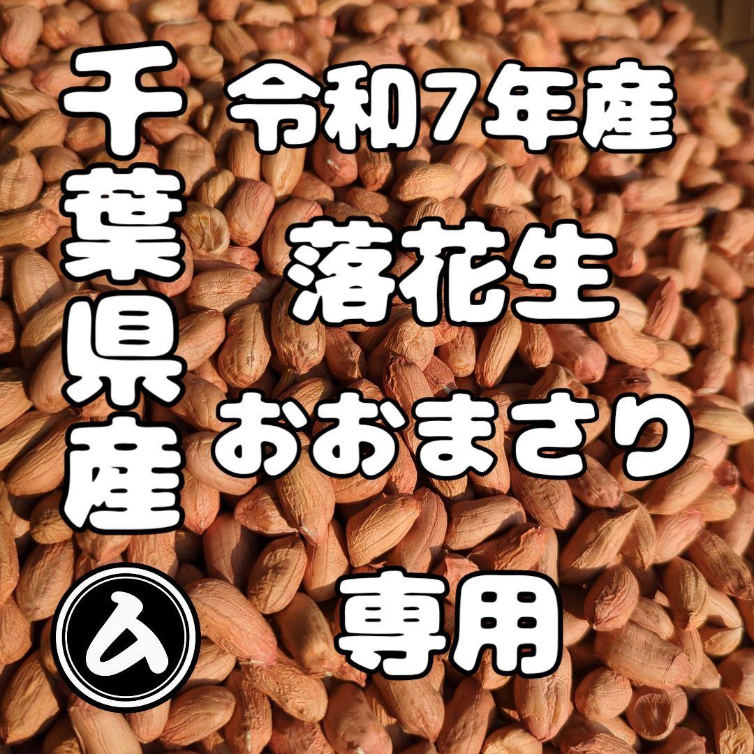 きくらげタクシー　千葉県産 おおまさり 手むき 乾燥生落花生