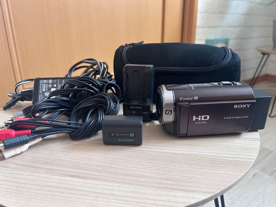 SONY ハンディカム HDR-CX370V 本体＋バッテリー2個＋付属品