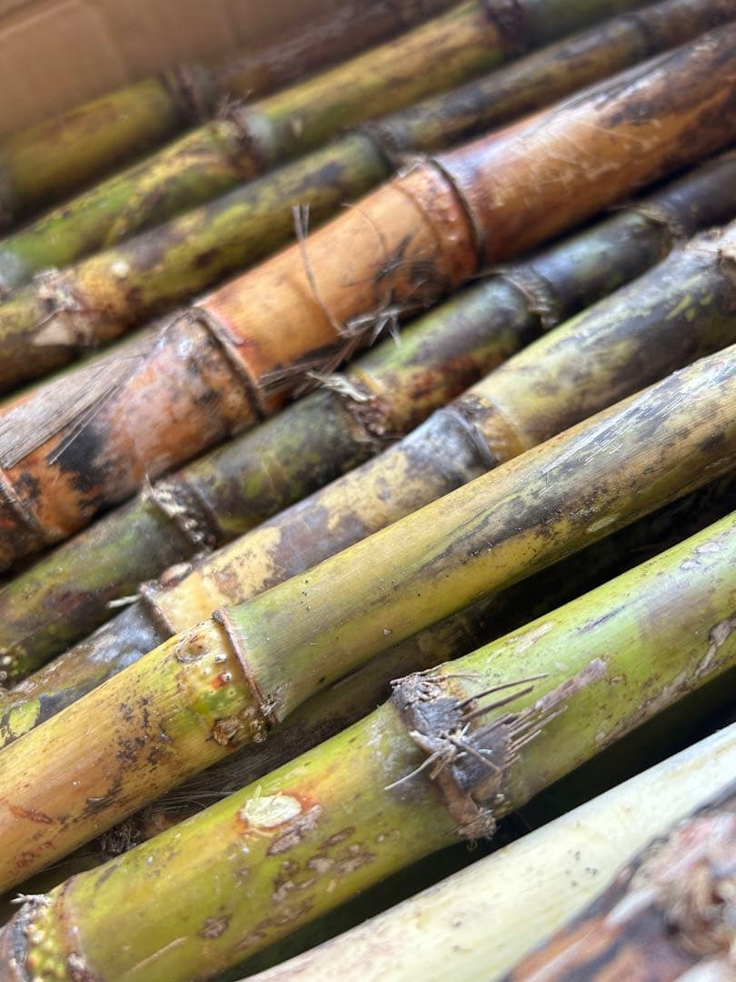 業務用 手動式/電動式 サトウキビジュースマシン（オーダーメイド）中古