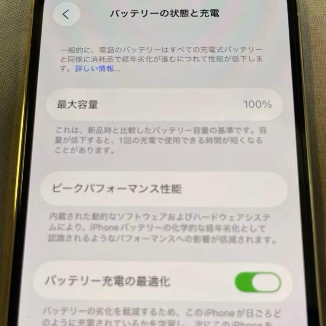 専用【美品】iPhone 12 Pro シルバー 128GB SIMフリー