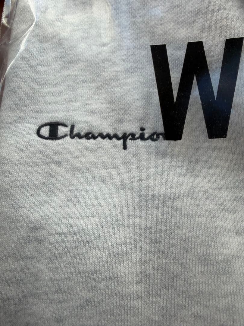 WTAPS Champion Academy Crew Neck グレーＬ