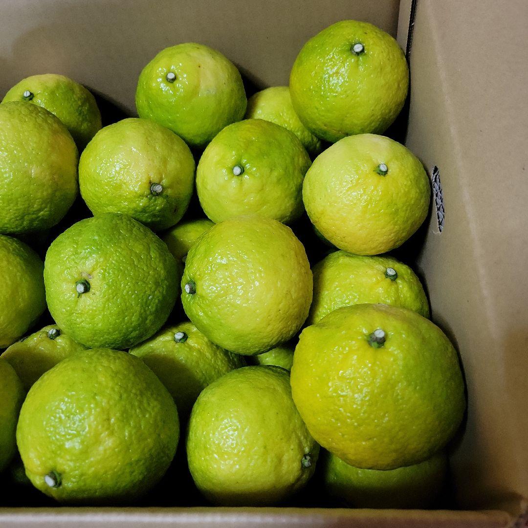 はるか20キロ　Hana