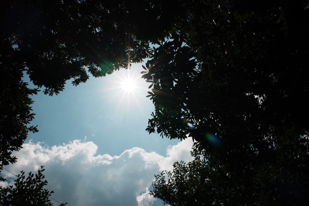 【寄れる】Nikon Ai-s Nikkor 28mm F2 ニコン 388