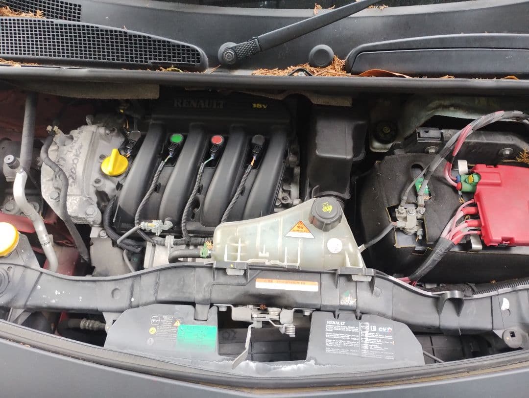 値下げ　Kangoo　ルノーカングー　kwk4m　アウトドア　釣り　ポーター等