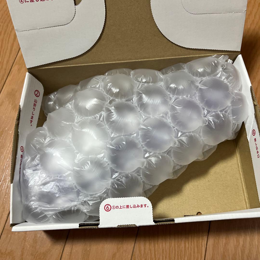 堂本剛 平安神宮 奉納演奏2025 グッズ 傘（晴雨兼用）