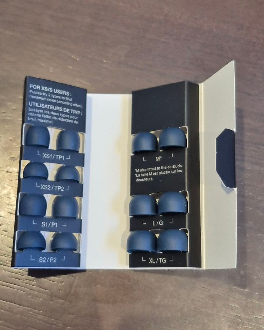 【美品】Technics ワイヤレスイヤフォンEAH-AZ80 日本未発売限定色