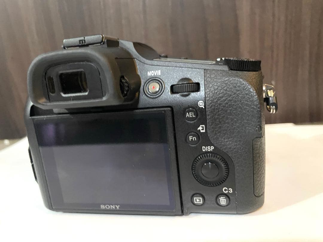 ソニーSONY Cyber-shot RX10M4