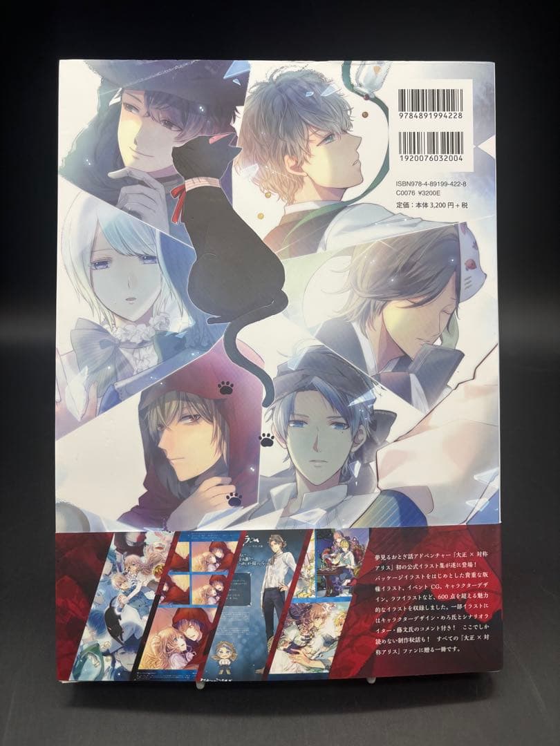 大正×対称アリス　ビジュアルファンブック