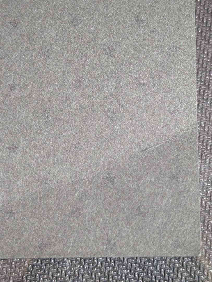 lycee 桜庭・ヴィクトリア・瑠莉 直筆サイン