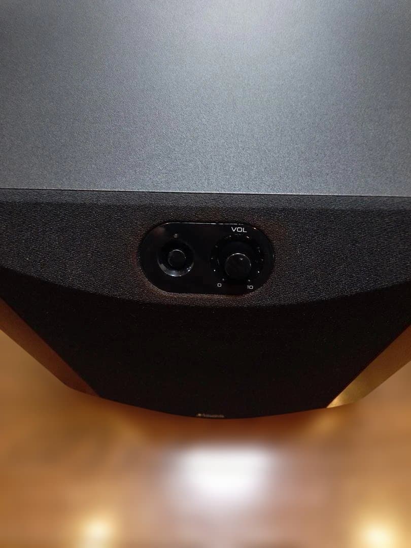 送料無料　YAMAHA ヤマハ NS-SW300