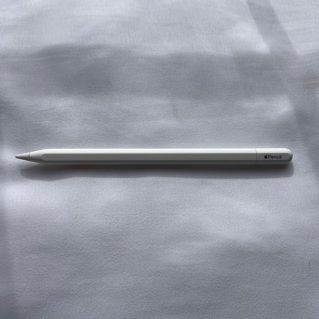 ロシナンテ Apple Pencil USB-Cタイプ アップルペンシル