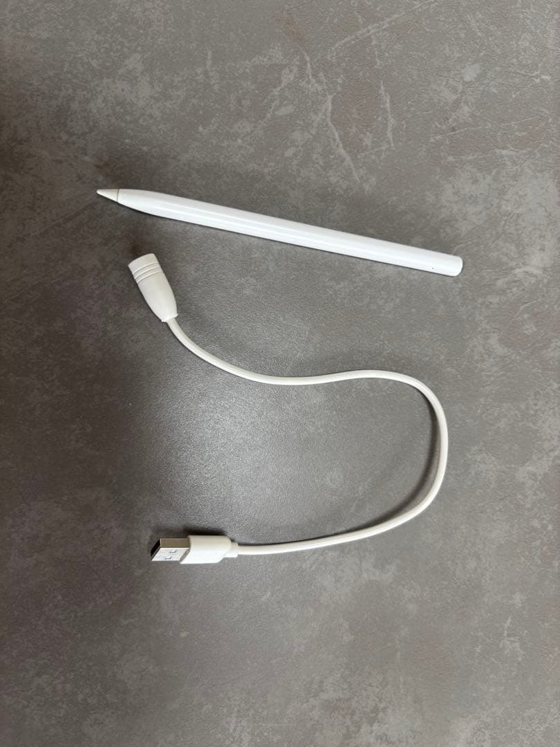 Apple iPad Pro 11 第2世代　256GB Wi-Fi