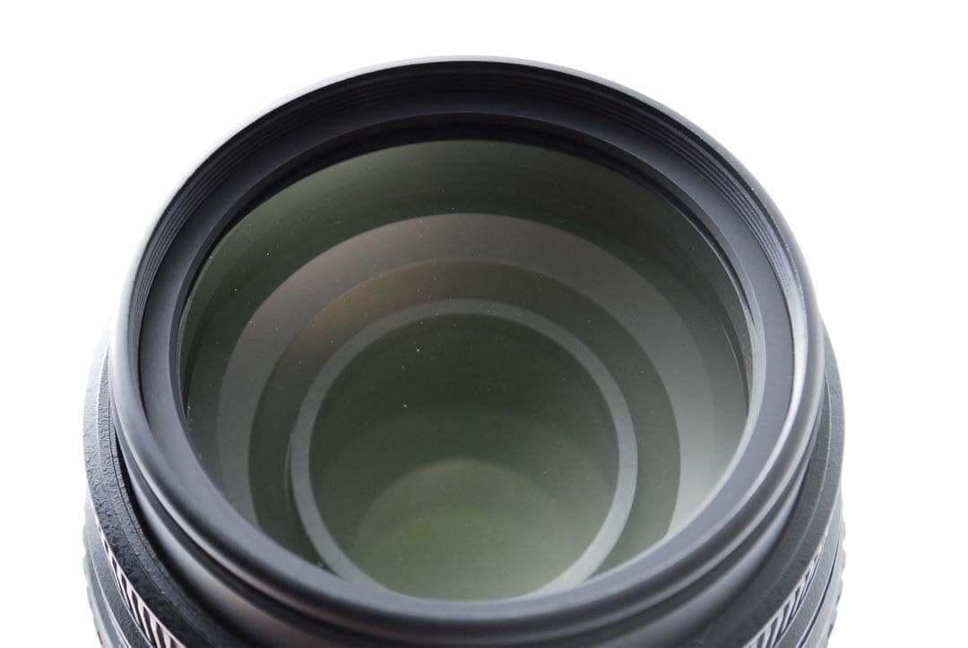 Nikon AF-S DX 55-300mm VR ニコン望遠ズームレンズ