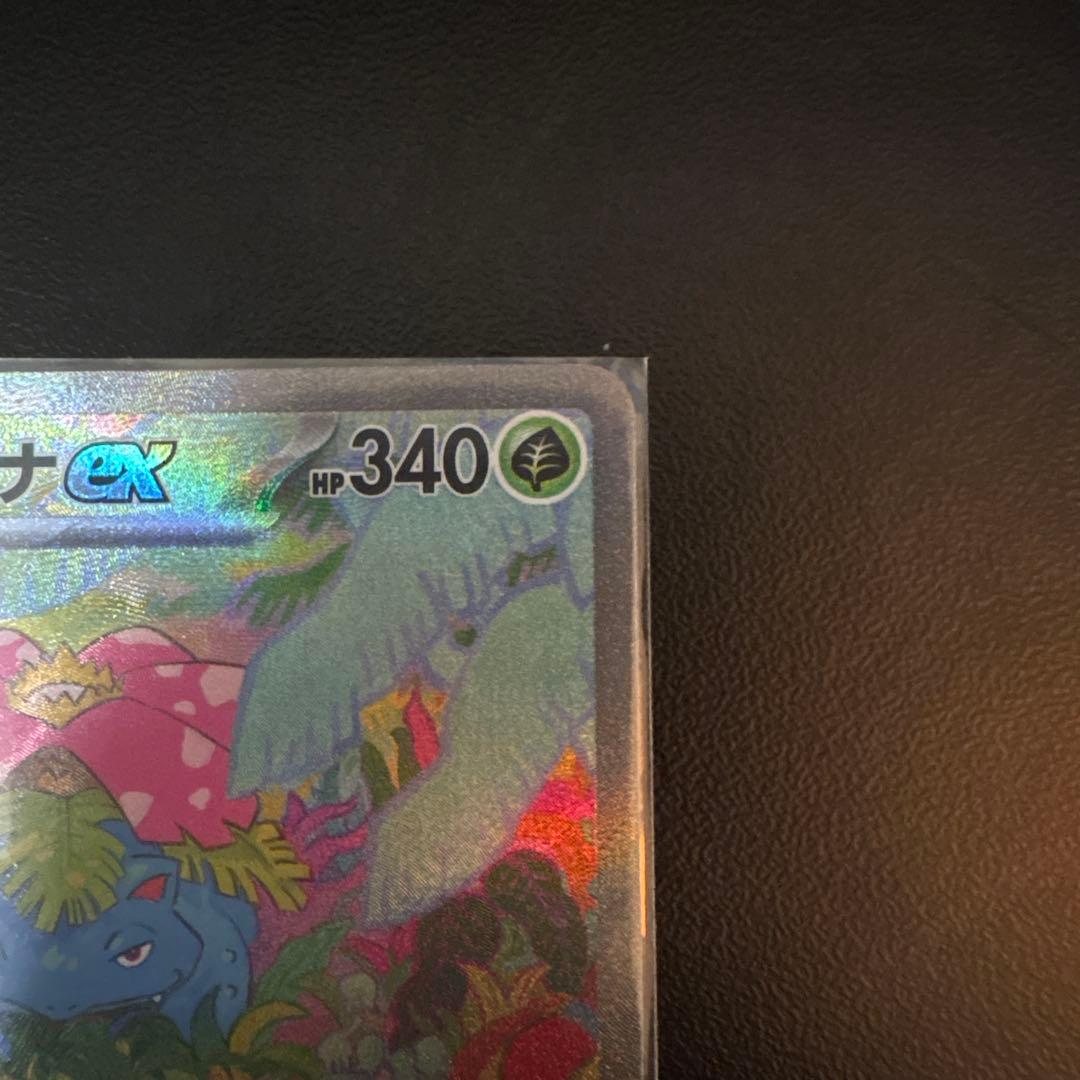 フシギバナ exsarセット