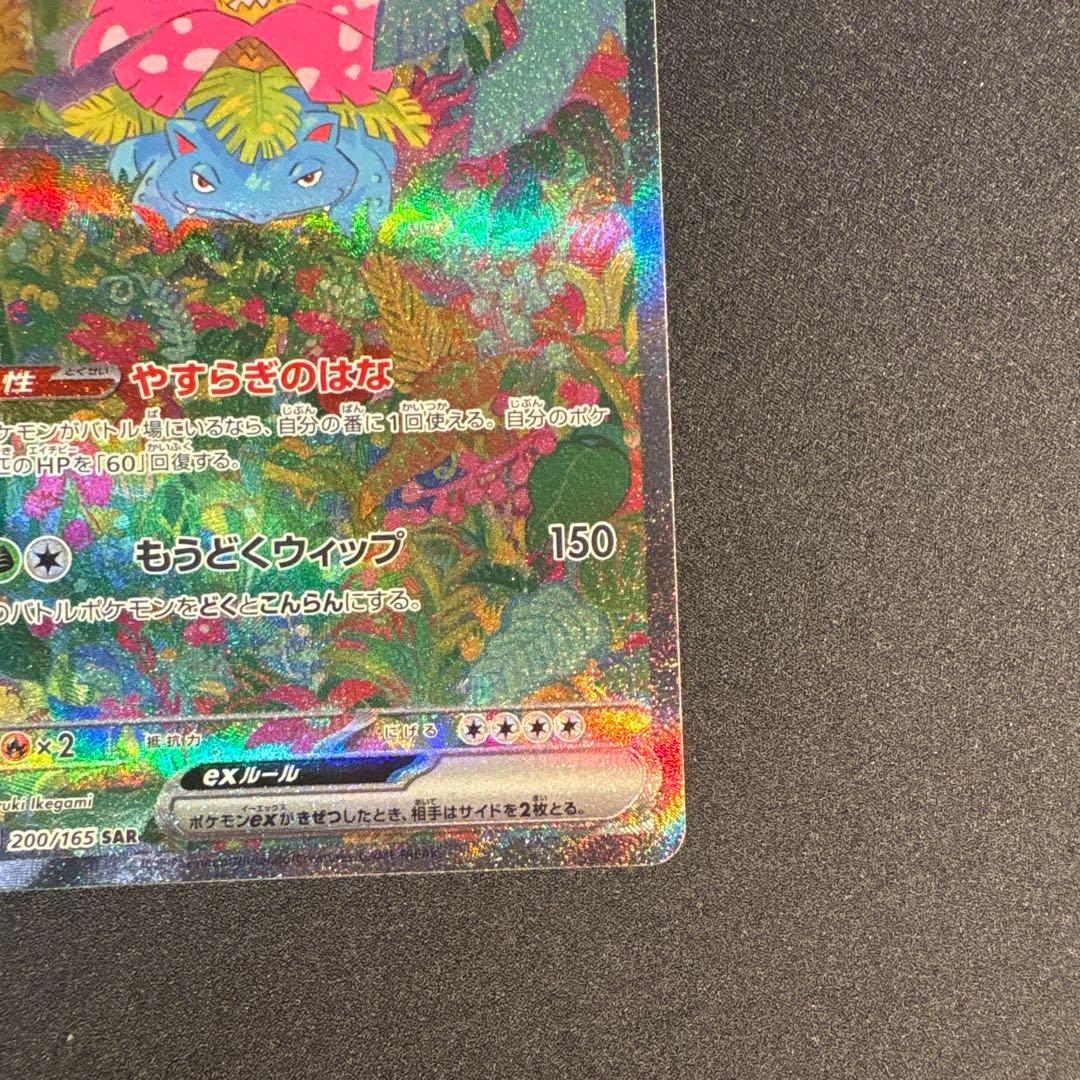 フシギバナ exsarセット