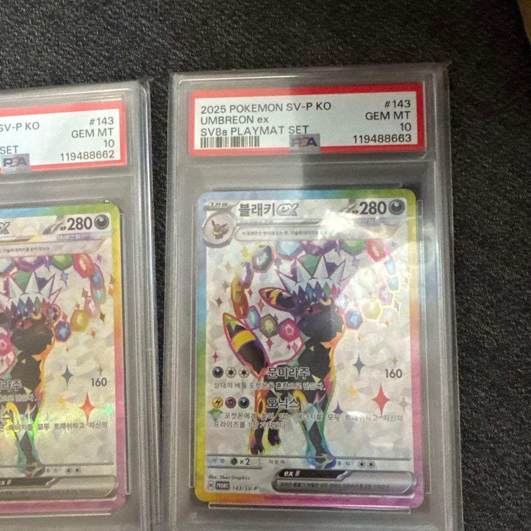 PSA10 ブラッキーex 韓国　テラスタルフェスex 5枚