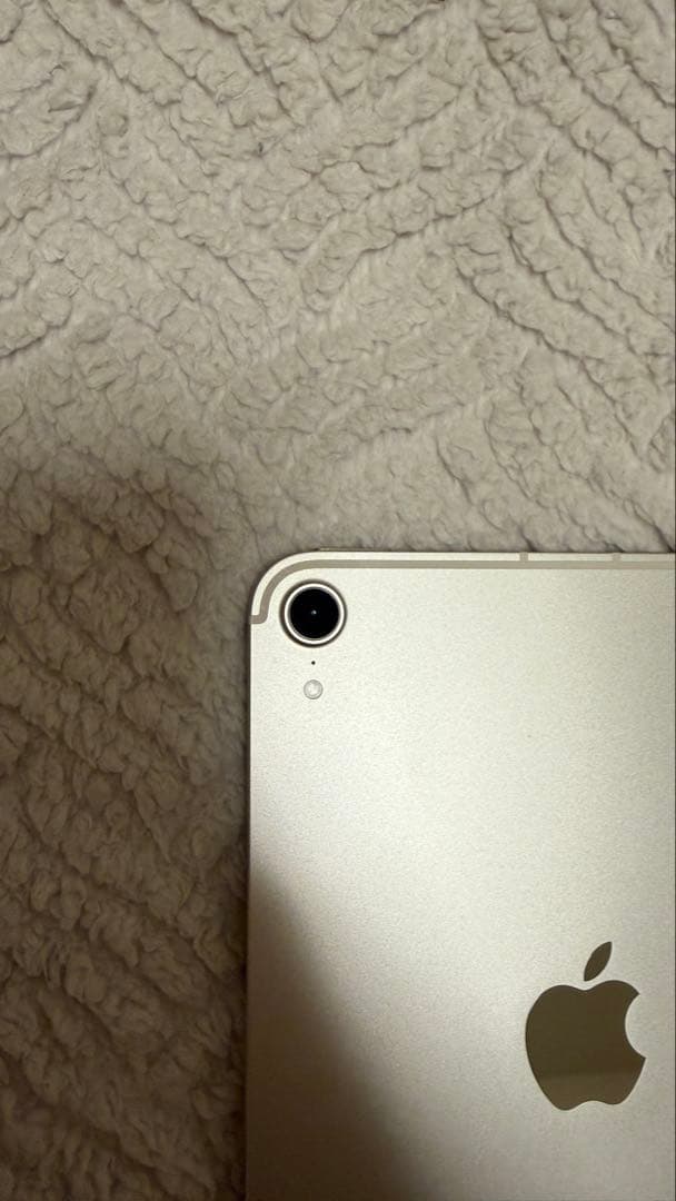 【早い者勝ち】【美品】iPad mini 第7世代 256GB Cellular