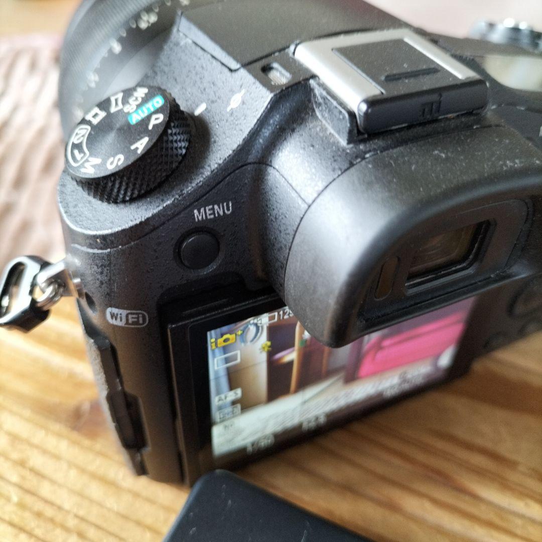 SONY RX10 デジタルカメラ