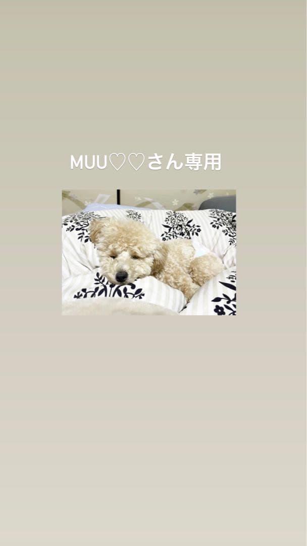 【CLANE】CLANE×CAFUNÉ MEDIUM STANCE