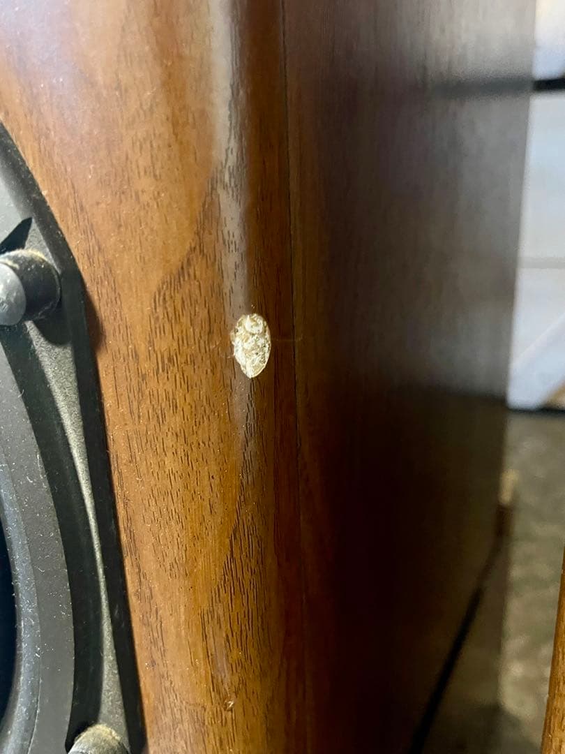 DIATONE DS-66Z スピーカー ペア コード 専用台座付き 動作品