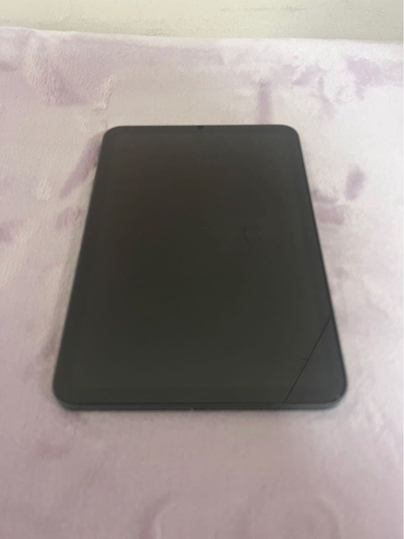 〈期間限定〉〈美品〉iPad mini 6 256GB スペースグレーWi-Fi