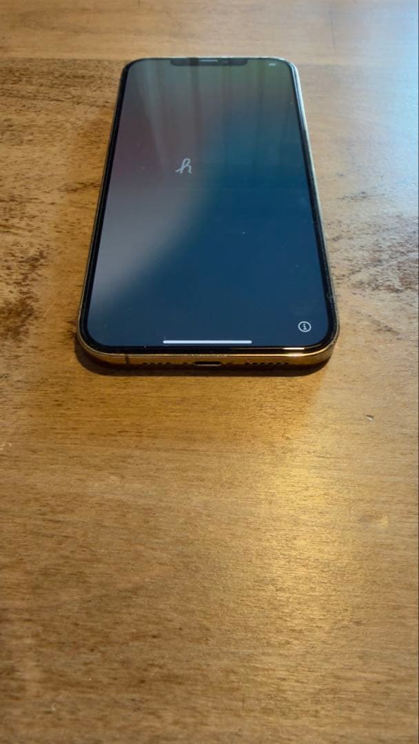 iPhone 12 pro max 即日発送のネコさん専用