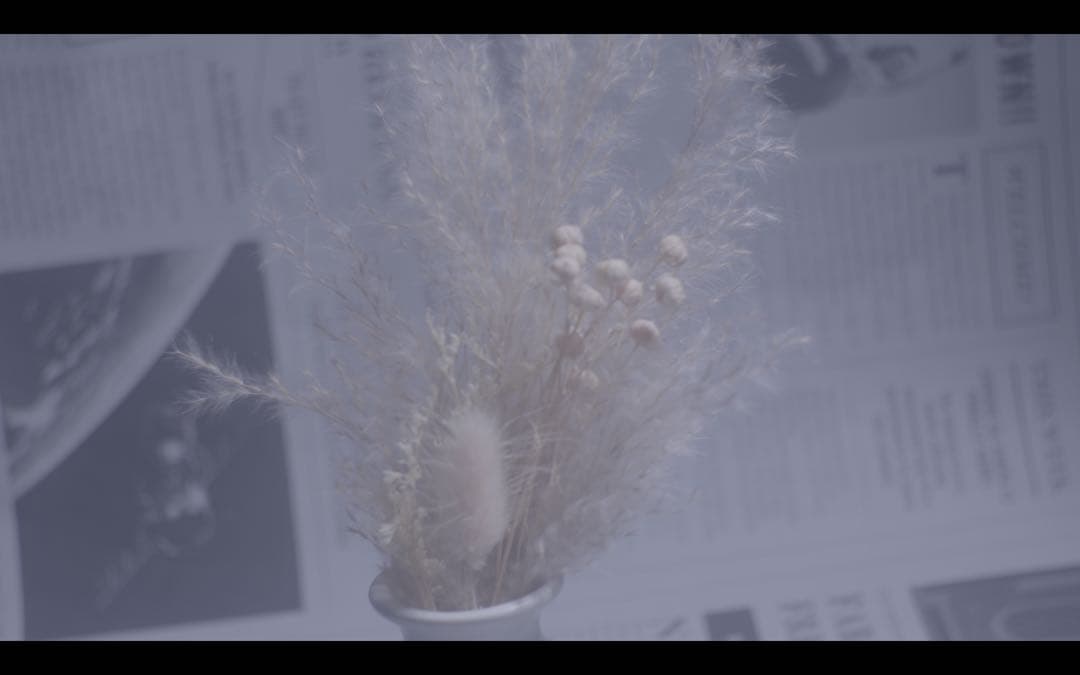 レア？　ISCO GOTTINGEN 50mm f2.8 m42マウント