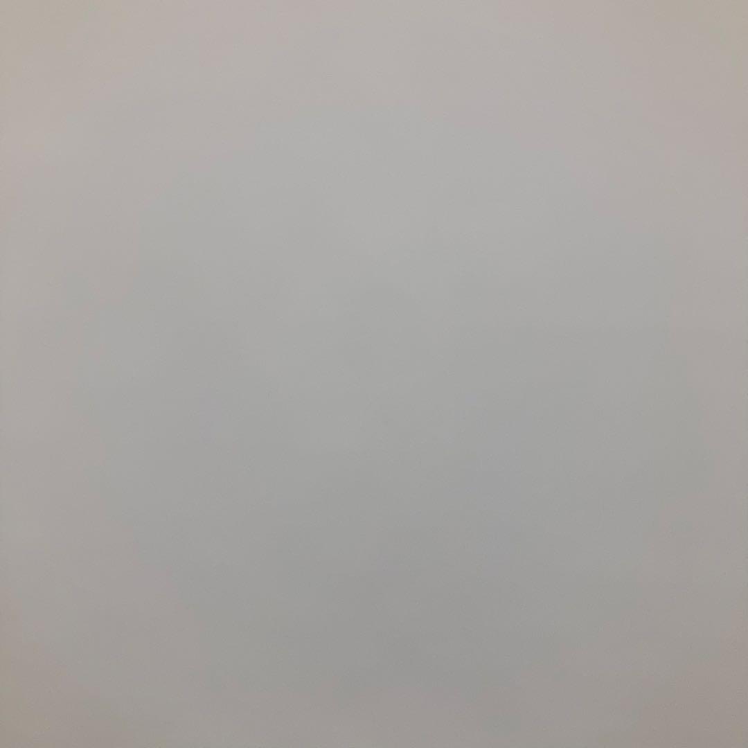 【美品】Grandview GML-100W キクチ研究所　100インチ