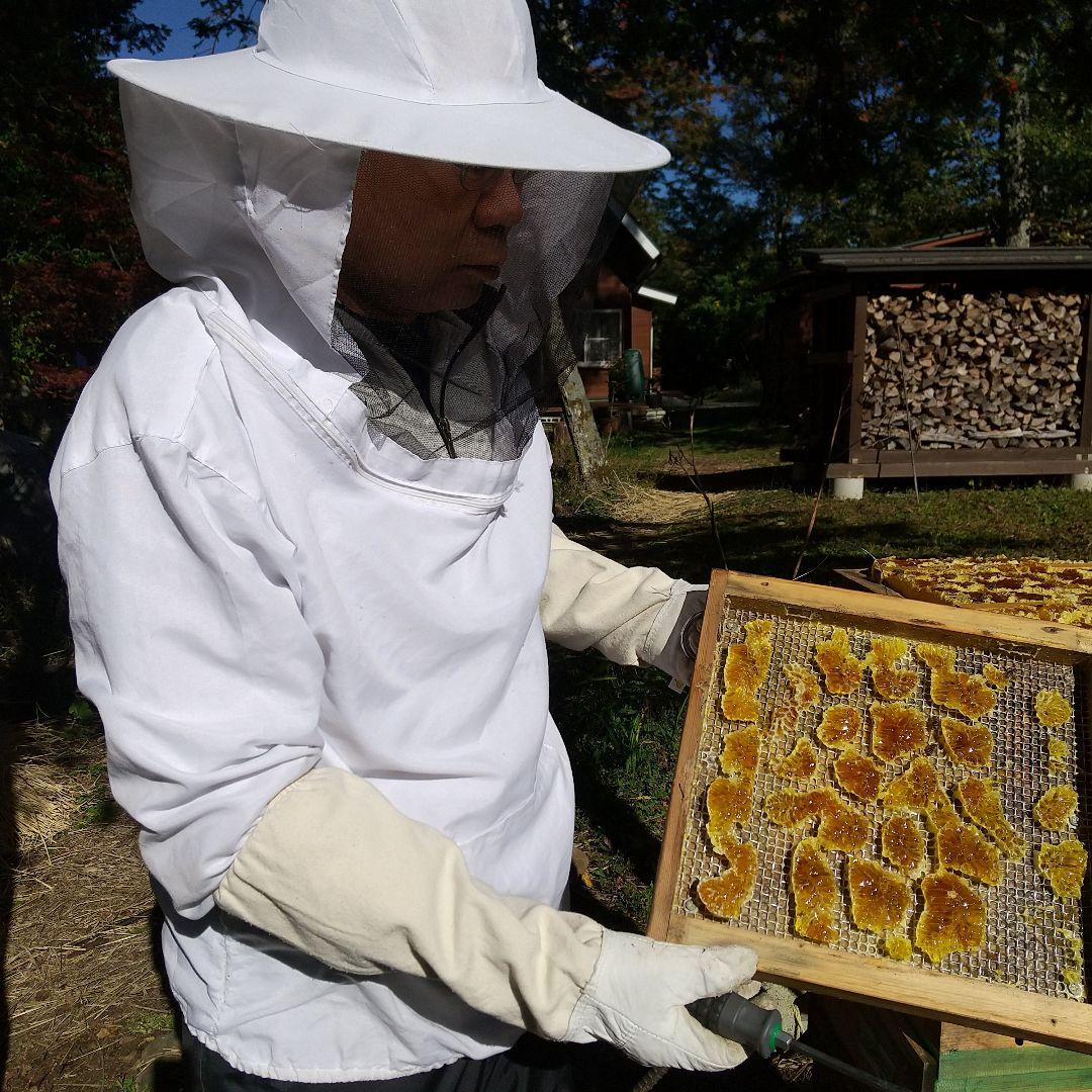 ジュエリー 日本蜜蜂天然 ハチミツ 1160g 八ヶ岳西麓1250m