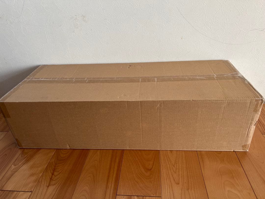 【新品】エレクトロラックス サイクロン式 EFP91835 コードレス掃除機