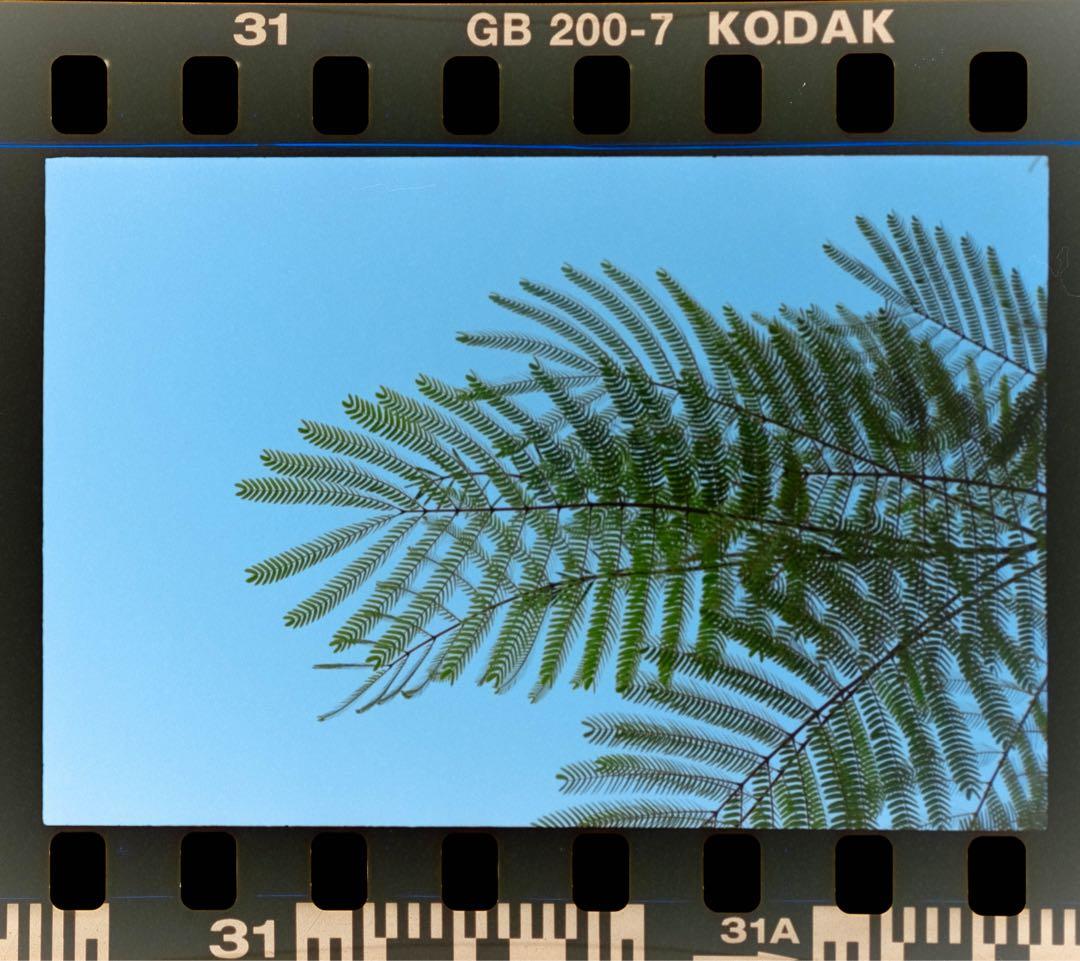 【整備済】Leica M3 シングルストローク