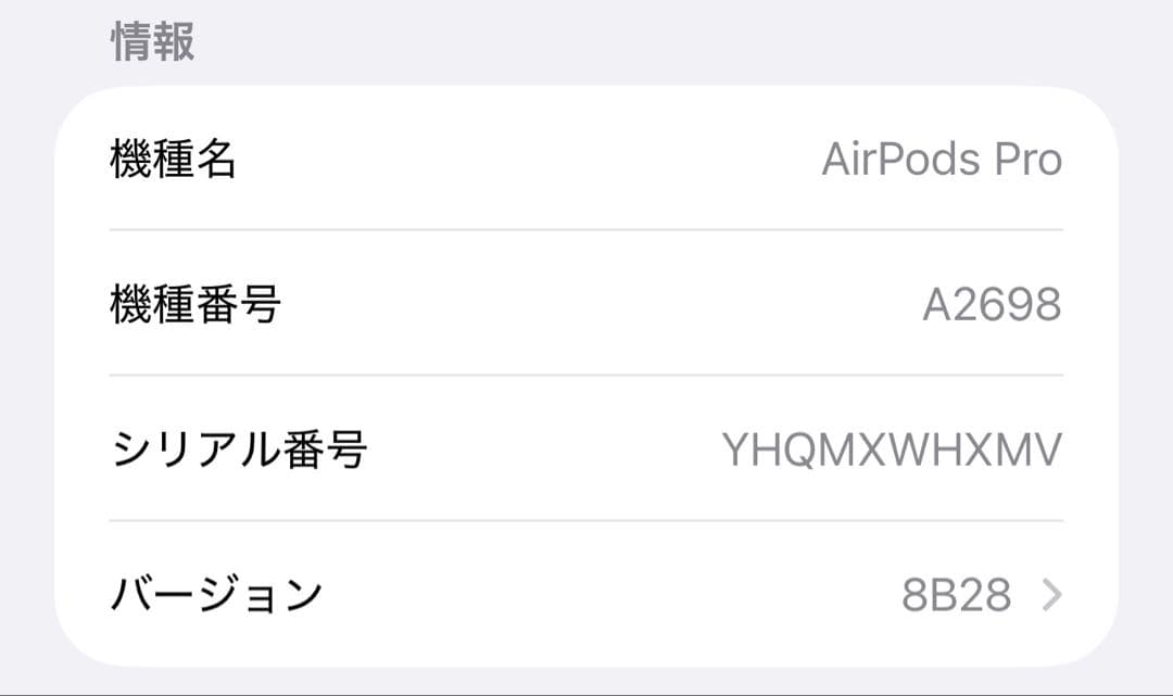 Apple AirPods Pro (第2世代・Lightningコネクタ)