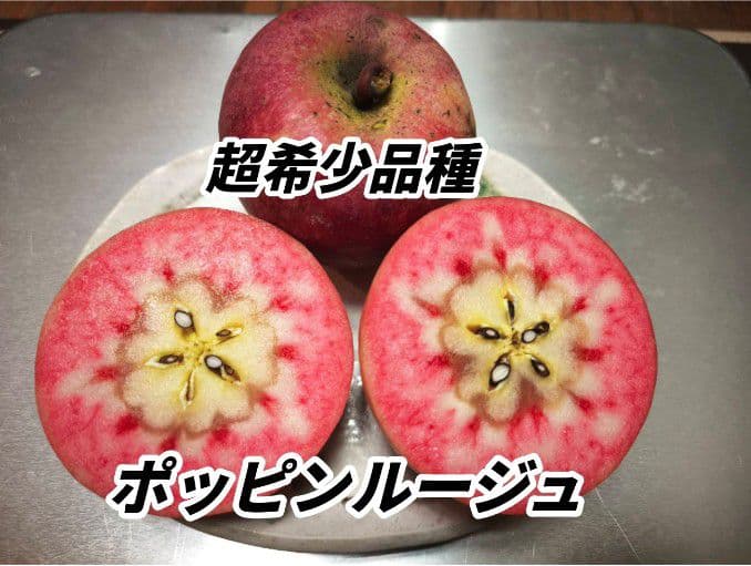 けんぼん　りんご詰め合わせ