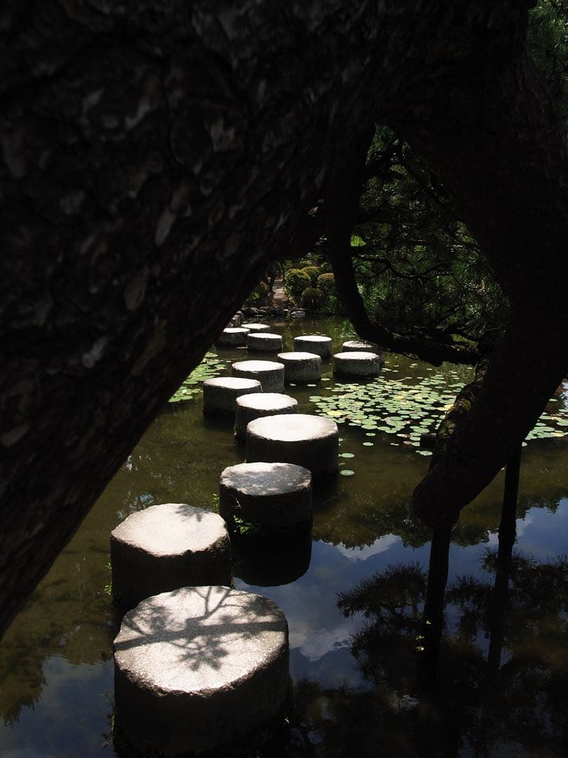 デジタルカメラ RICOH GR DIGITAL