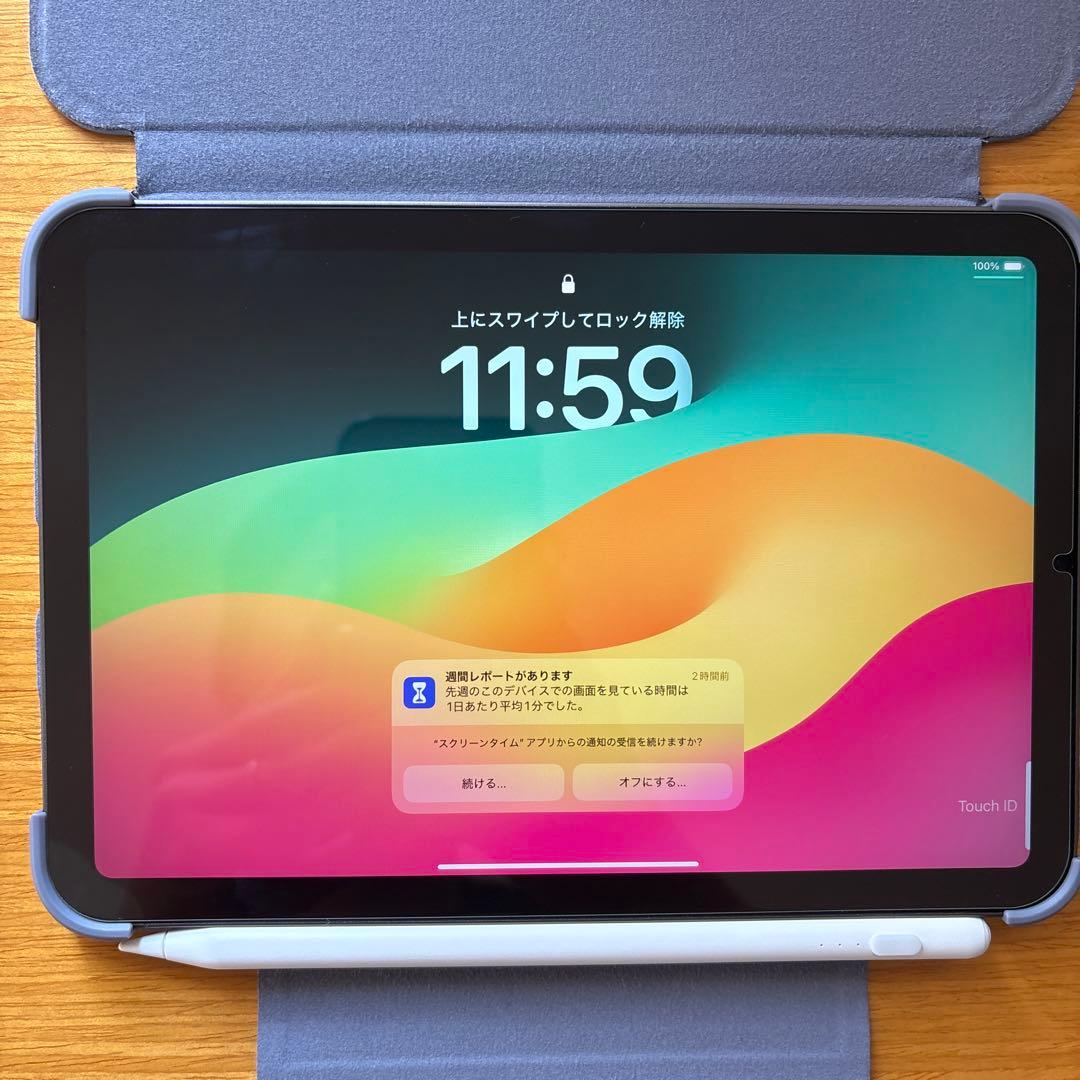 超美品 iPad mini スペースグレー フィルム、カバー、ペンシル付属