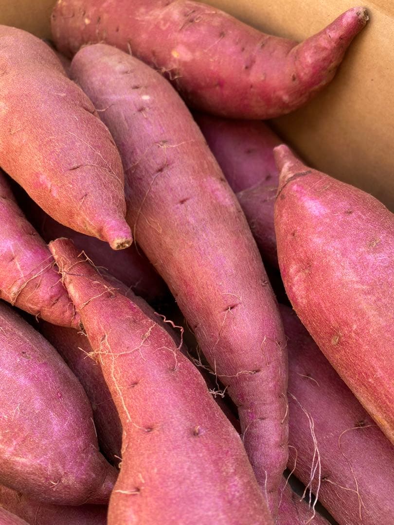 茨城県産シルクスイートL40キロ　YU品