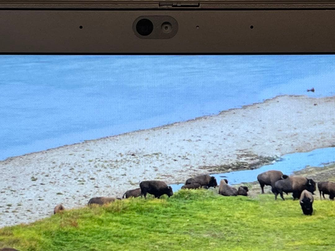 ThinkPad X390 i5-8365U タッチパネル　16G 256GB