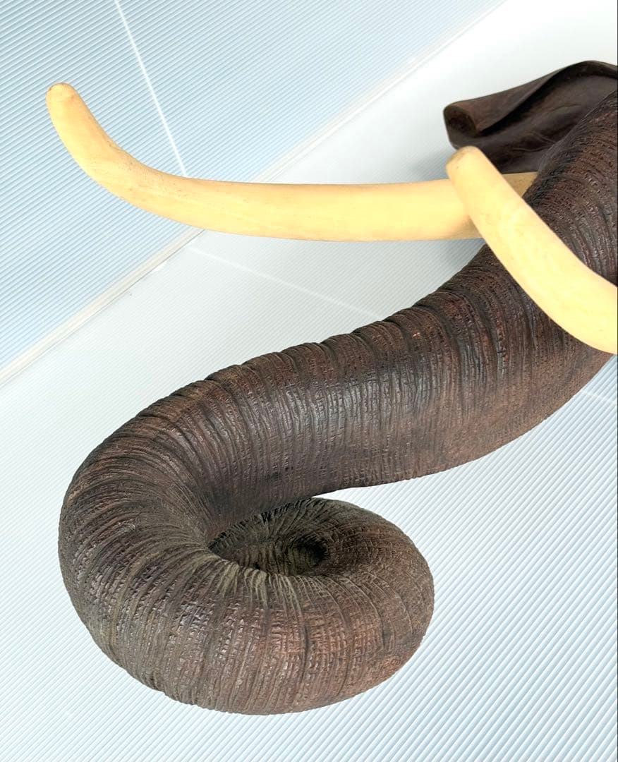 ハムタン サイズ大♪ リアル 彫刻 アンティーク 木製 ゾウ 象