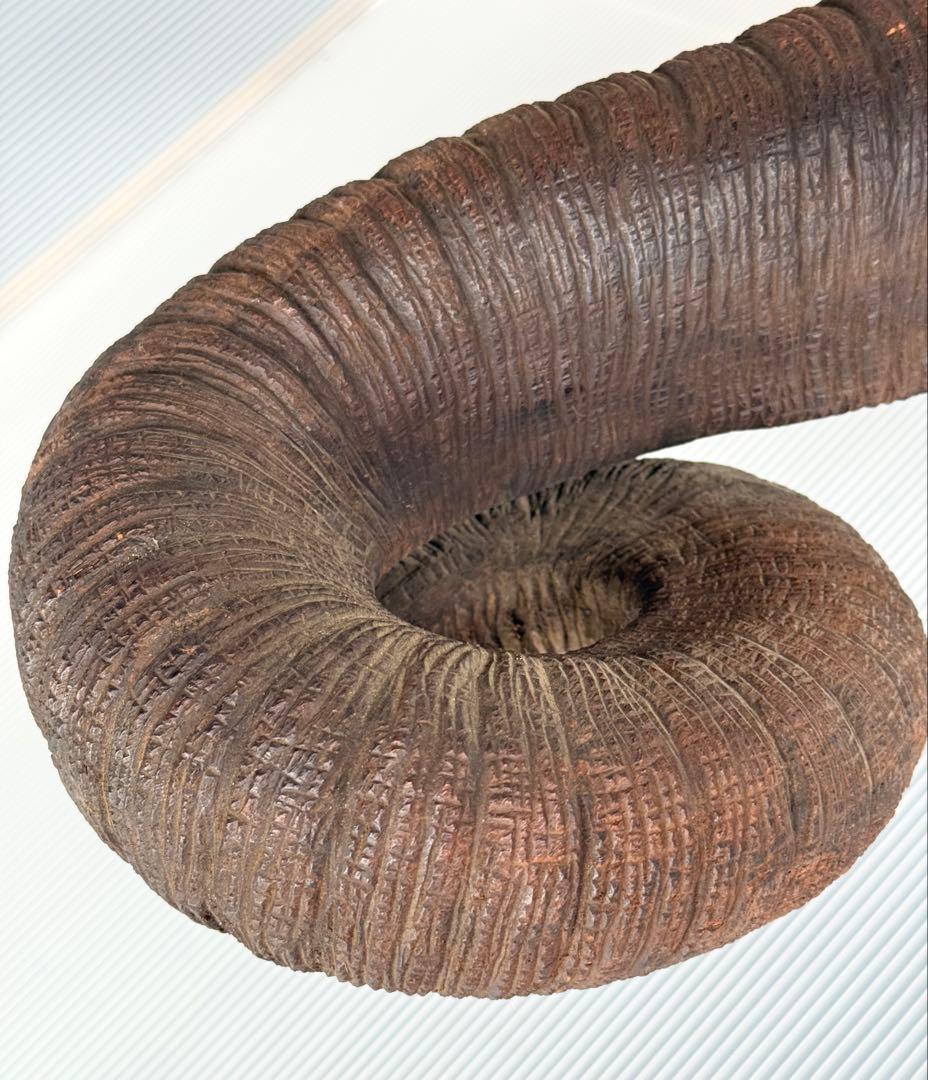 ハムタン サイズ大♪ リアル 彫刻 アンティーク 木製 ゾウ 象