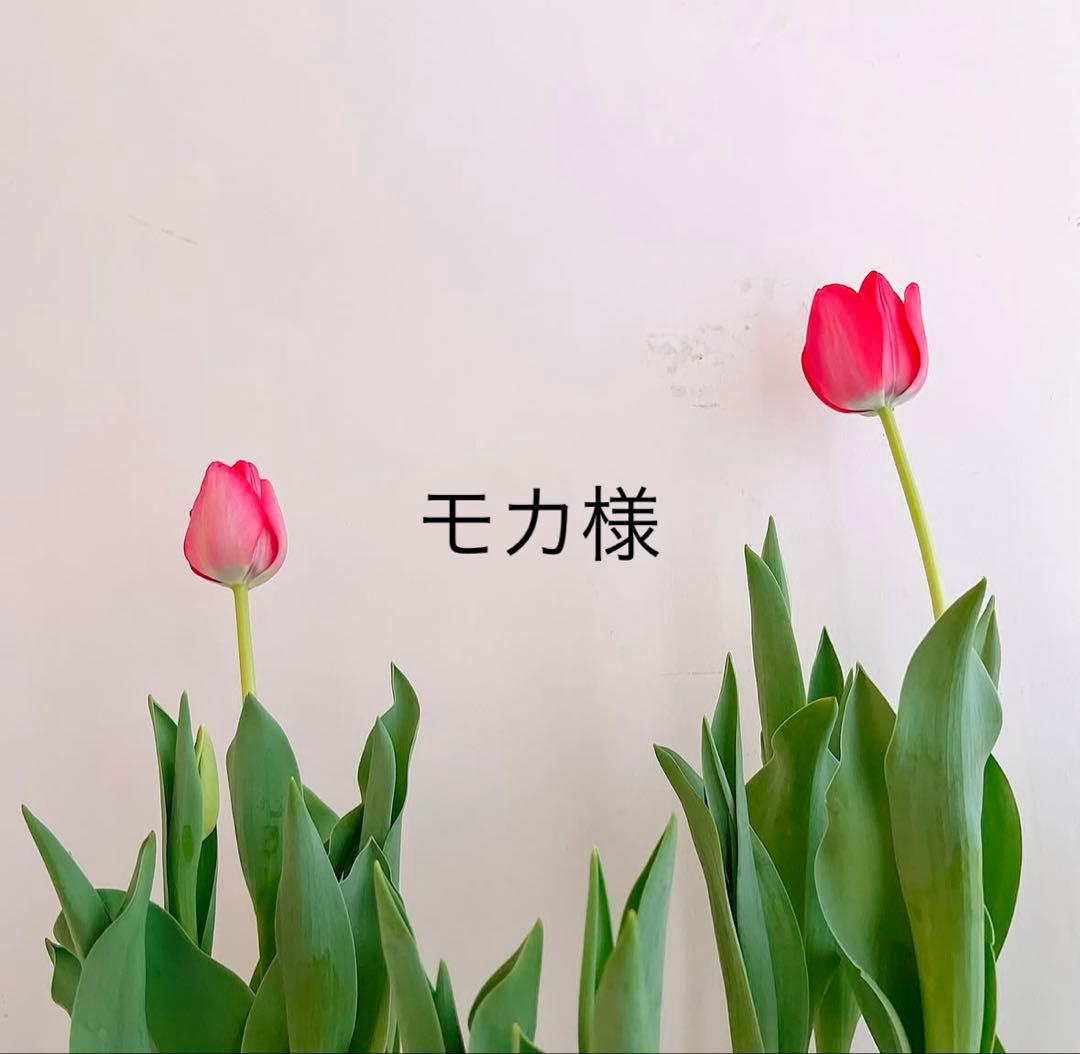 モカ　クレンザー2本 クリーム２個