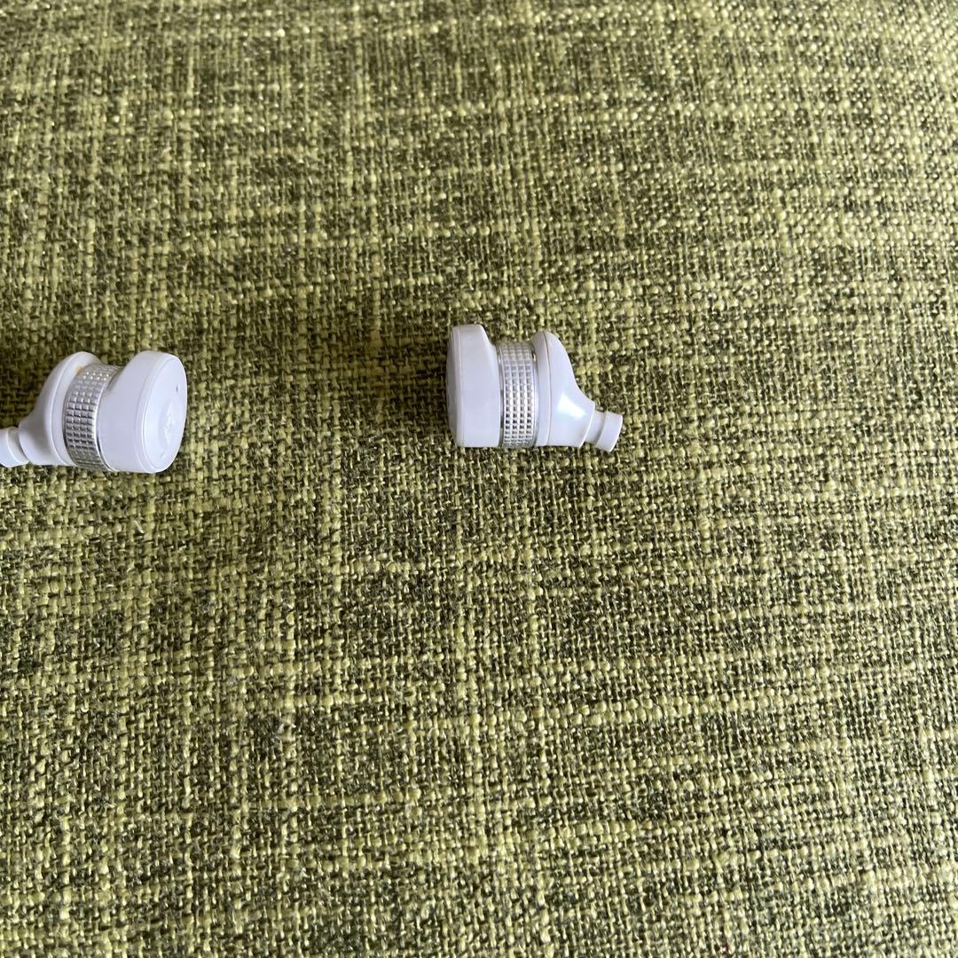 AVIOT TE-BD21j-hsn ワイヤレスイヤホン