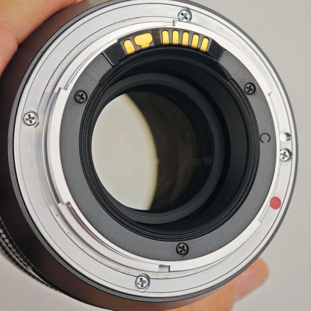 レンズ(単焦点) CarlZeiss Makro Planar T* 100mm F2 ZE