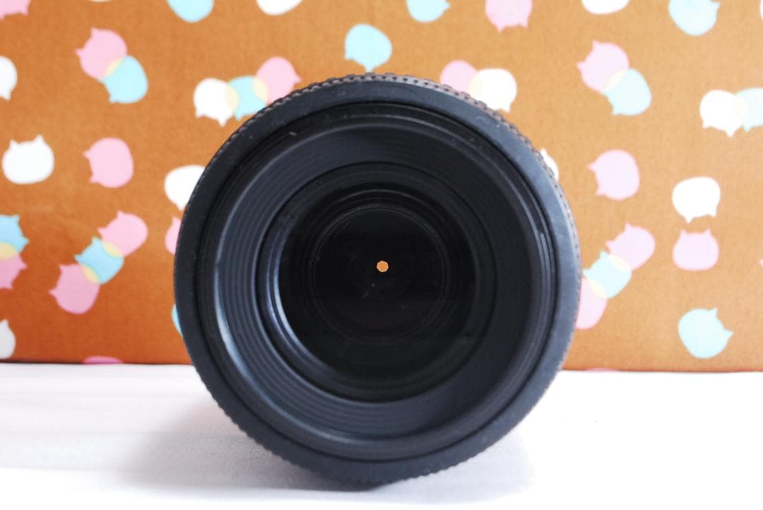 ✨ショット数2118回✨望遠レンズ ✨Nikon D60 レンズセット