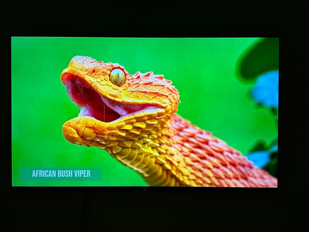 【定価38万円】4K有機ELテレビ SONY BRAVIA KJ-55A8F