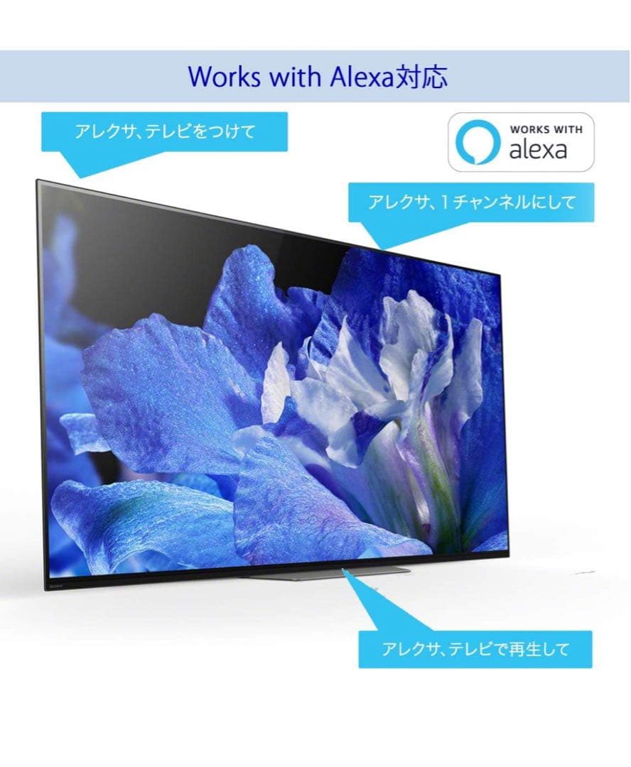 【定価38万円】4K有機ELテレビ SONY BRAVIA KJ-55A8F