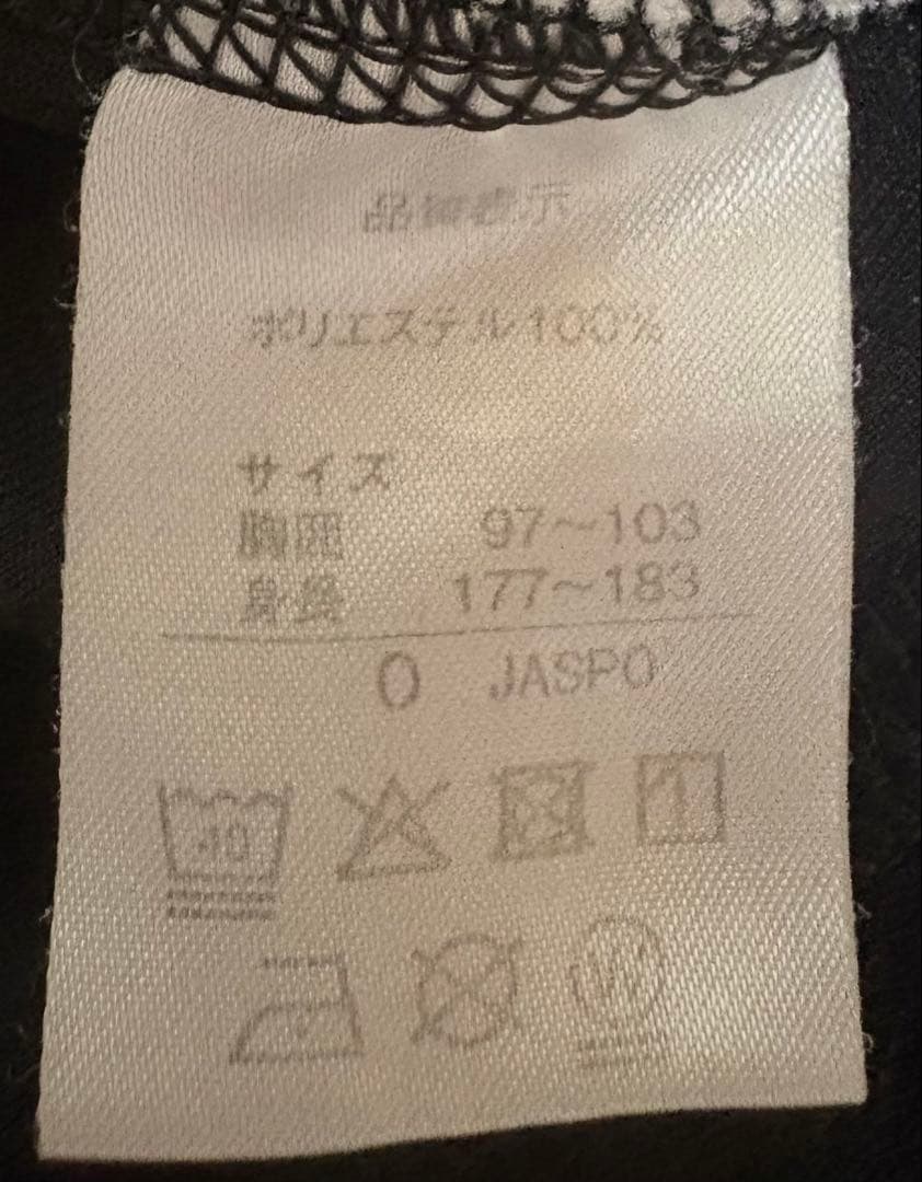 phiten tシャツ Oサイズ(美品)