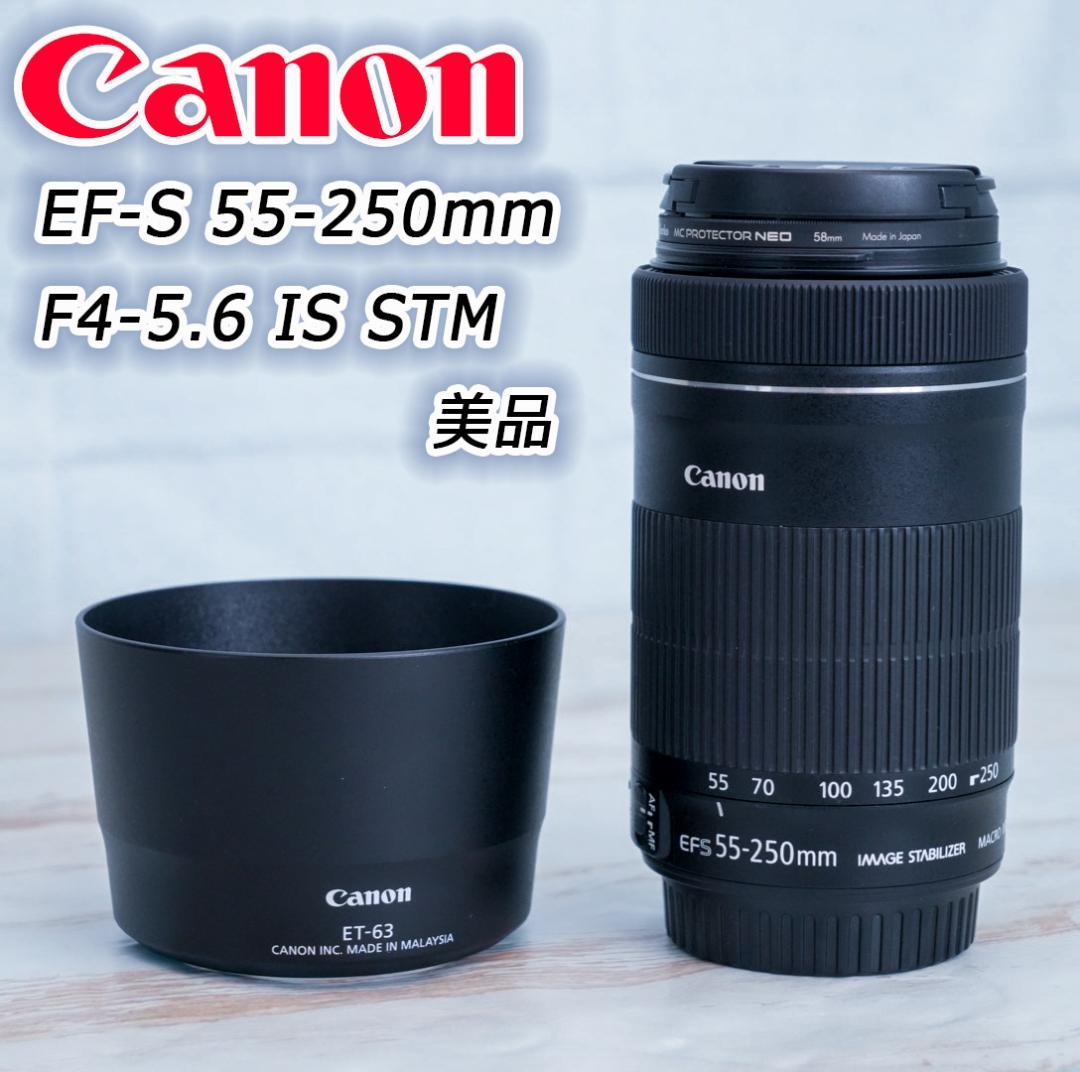 【高性能望遠レンズ】Canon EF-S 55-250mm IS STM 美品