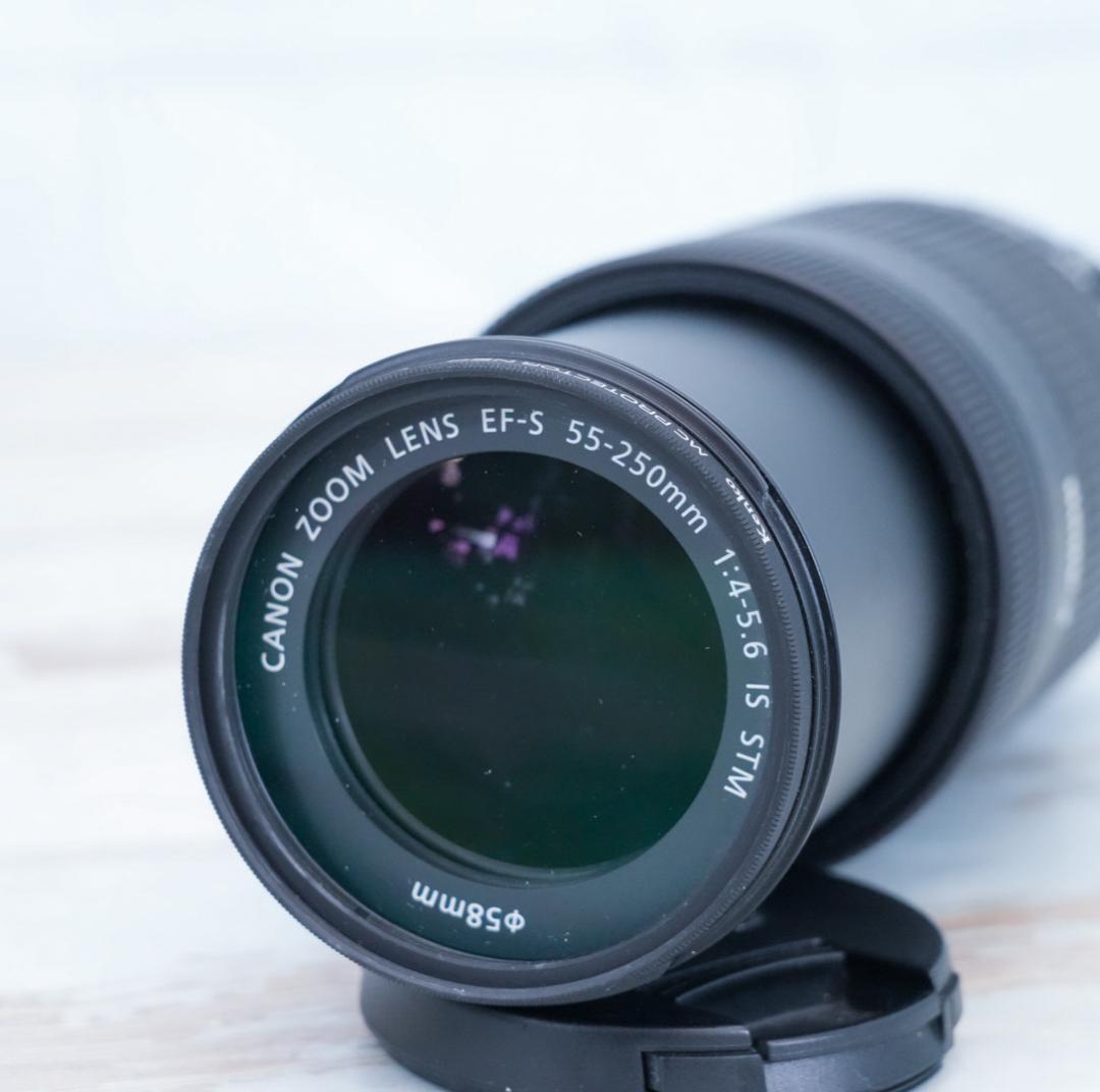 【高性能望遠レンズ】Canon EF-S 55-250mm IS STM 美品