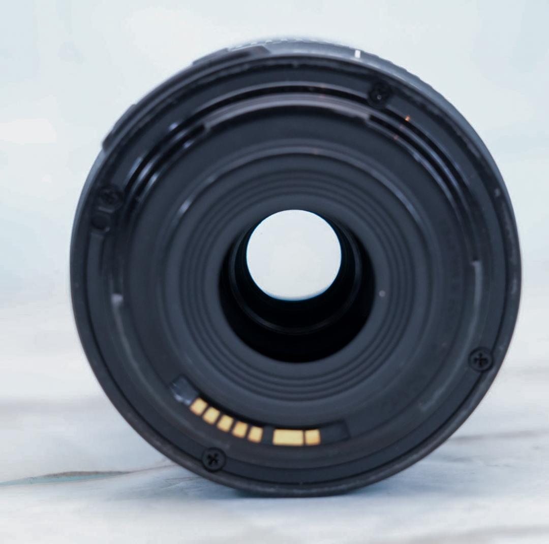 【高性能望遠レンズ】Canon EF-S 55-250mm IS STM 美品